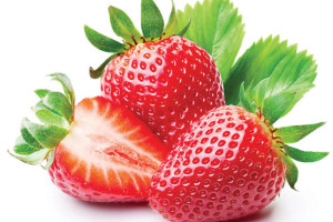 Fragola_Hq Fragola_Hq